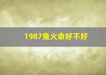 1987兔火命好不好