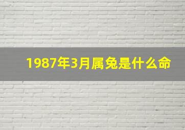 1987年3月属兔是什么命