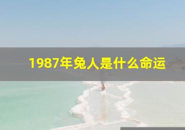 1987年兔人是什么命运