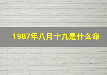 1987年八月十九是什么命