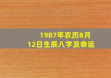 1987年农历8月12日生辰八字及命运