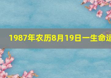 1987年农历8月19日一生命运