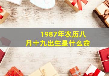 1987年农历八月十九出生是什么命