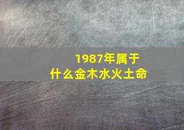 1987年属于什么金木水火土命