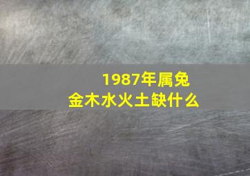 1987年属兔金木水火土缺什么