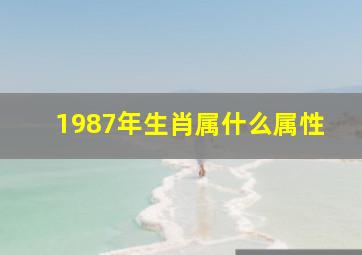 1987年生肖属什么属性