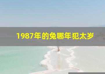 1987年的兔哪年犯太岁