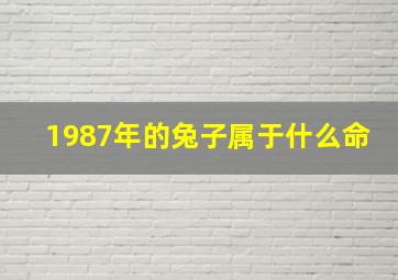 1987年的兔子属于什么命