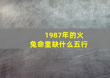 1987年的火兔命里缺什么五行