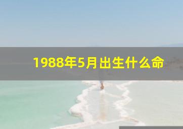 1988年5月出生什么命