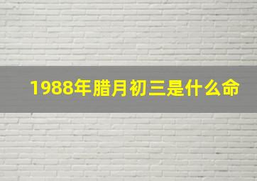 1988年腊月初三是什么命