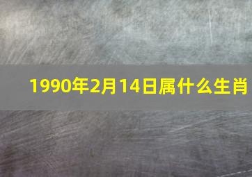 1990年2月14日属什么生肖