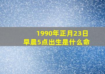 1990年正月23日早晨5点出生是什么命