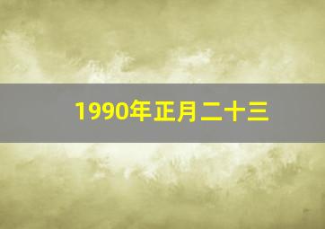 1990年正月二十三