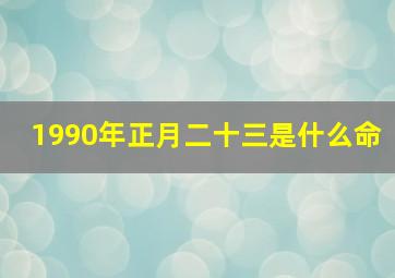 1990年正月二十三是什么命