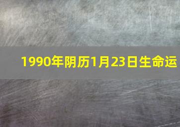 1990年阴历1月23日生命运