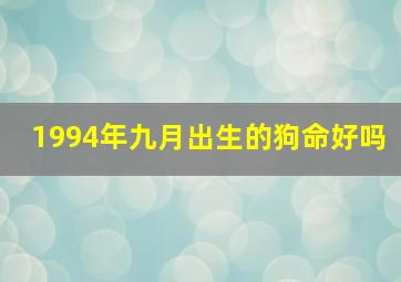 1994年九月出生的狗命好吗