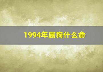 1994年属狗什么命