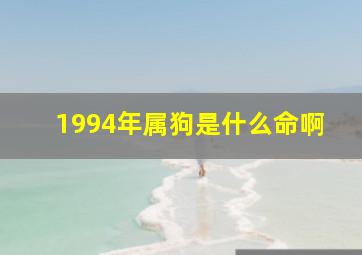 1994年属狗是什么命啊