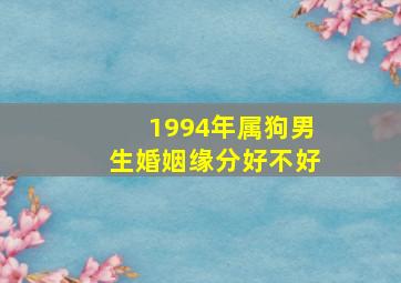 1994年属狗男生婚姻缘分好不好