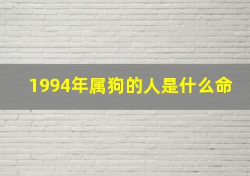 1994年属狗的人是什么命