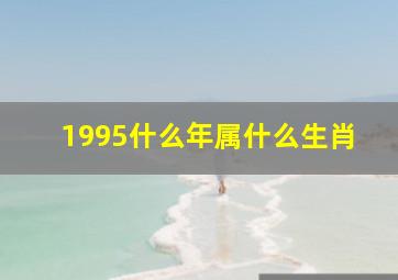 1995什么年属什么生肖