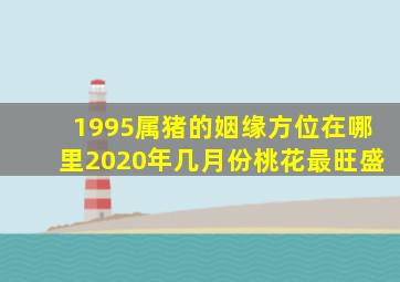 1995属猪的姻缘方位在哪里2020年几月份桃花最旺盛