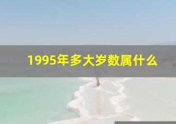 1995年多大岁数属什么