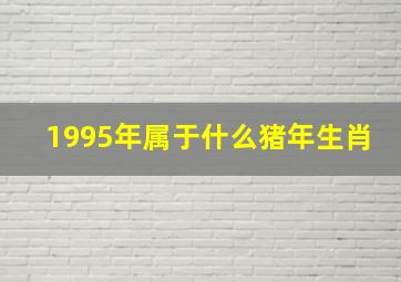 1995年属于什么猪年生肖