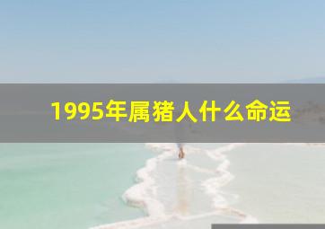 1995年属猪人什么命运