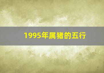 1995年属猪的五行