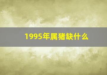 1995年属猪缺什么