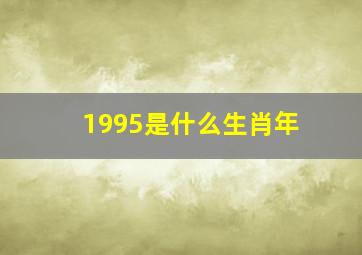 1995是什么生肖年