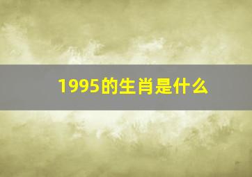 1995的生肖是什么