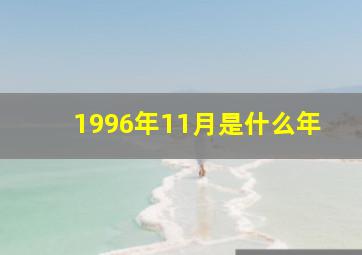 1996年11月是什么年