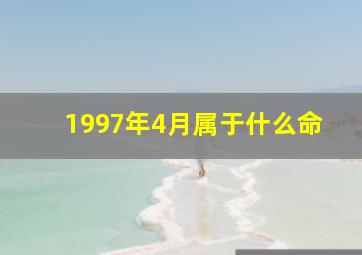 1997年4月属于什么命