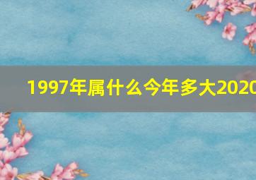 1997年属什么今年多大2020