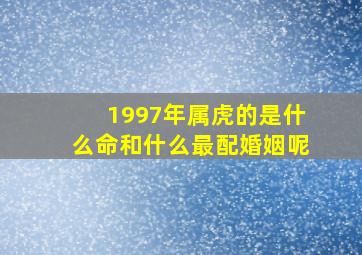 1997年属虎的是什么命和什么最配婚姻呢