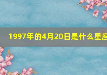 1997年的4月20日是什么星座