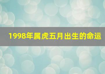 1998年属虎五月出生的命运