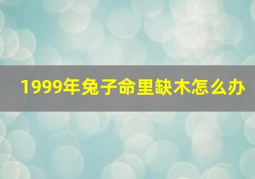 1999年兔子命里缺木怎么办