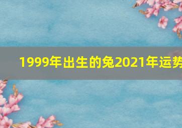 1999年出生的兔2021年运势