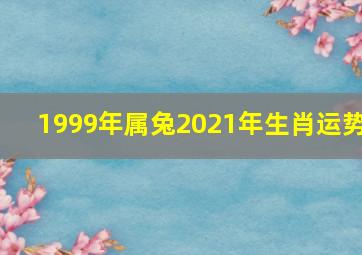 1999年属兔2021年生肖运势