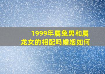 1999年属兔男和属龙女的相配吗婚姻如何