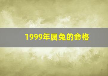 1999年属兔的命格