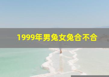 1999年男兔女兔合不合