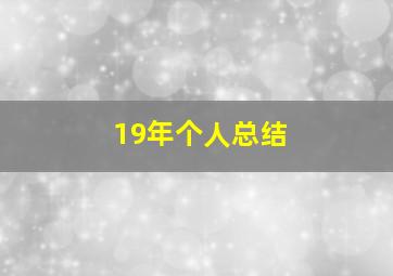 19年个人总结