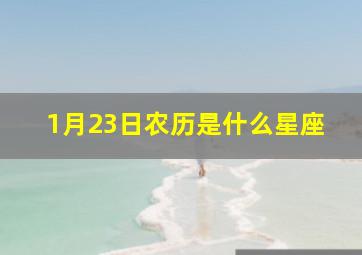 1月23日农历是什么星座