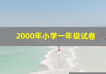 2000年小学一年级试卷