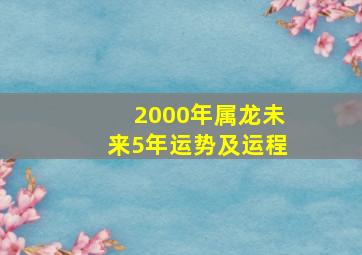 2000年属龙未来5年运势及运程